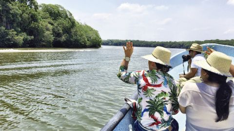 Mandinga Lake: Boat Tour + Transport from Veracruz