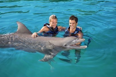 Delphinus Xel-Há Package: Fast Track Dolphinclusive Ride