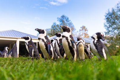 AquaZoo Leeuwarden: Entry Ticket