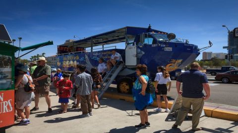 San Diego: 90-Minute Seal Tour with Amphibious Bus