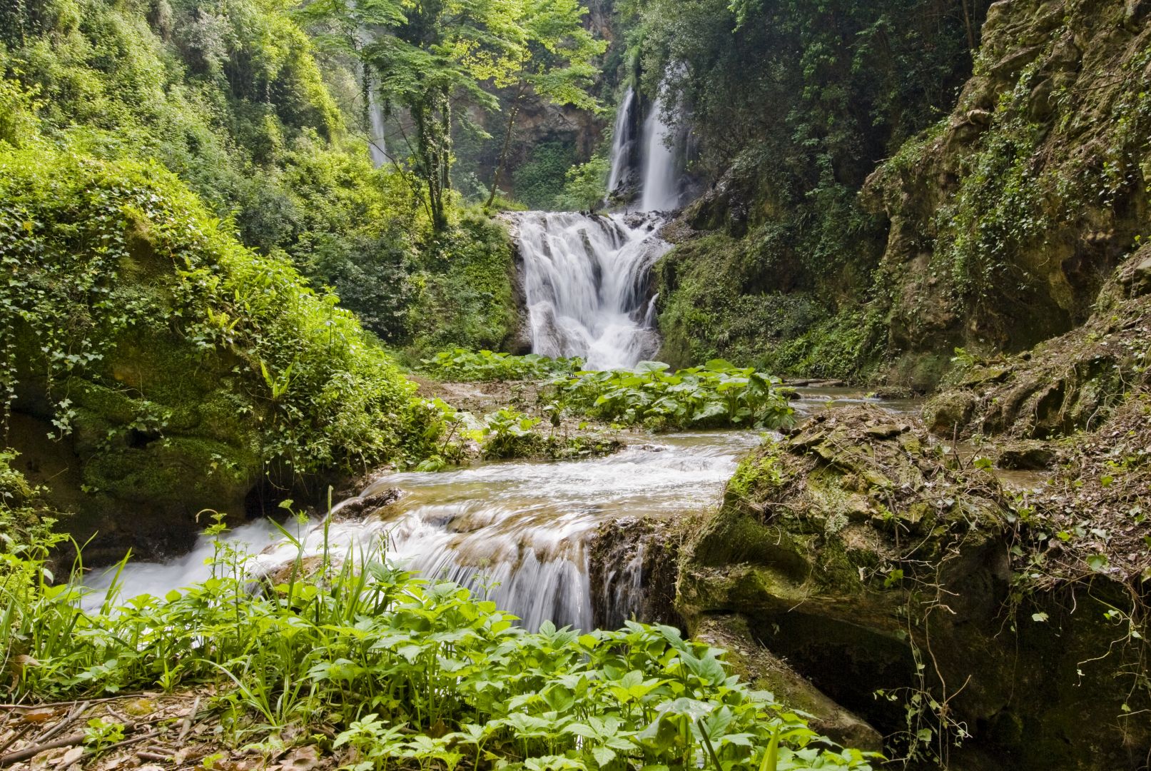 Villa Gregoriana: Entry Ticket