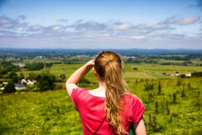 Celtic Boyne Valley & Ancient Sites : Day Tour from Dublin