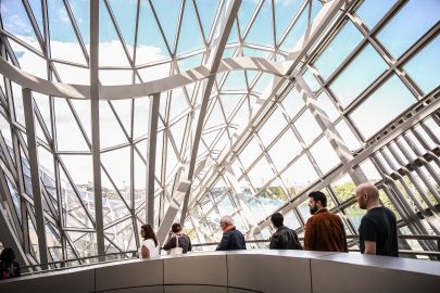 Musée des Confluences: Entry Ticket