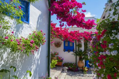 Patios de Córdoba: Guided Tour Tour in Spanish