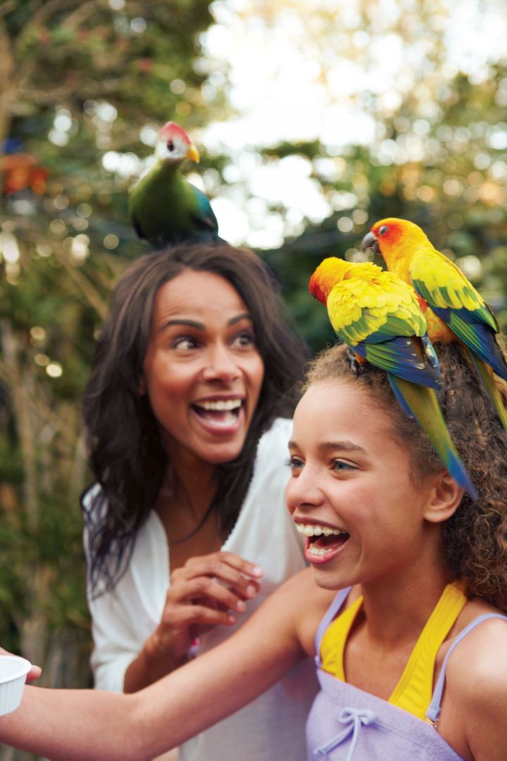 Aquatica San Antonio: Fast Track Ticket