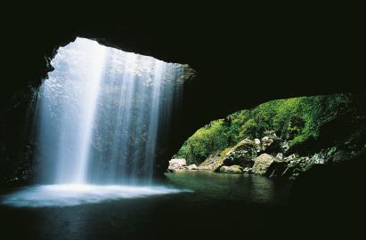 Natural Bridge & Springbrook Waterfalls Tour from Gold Coast