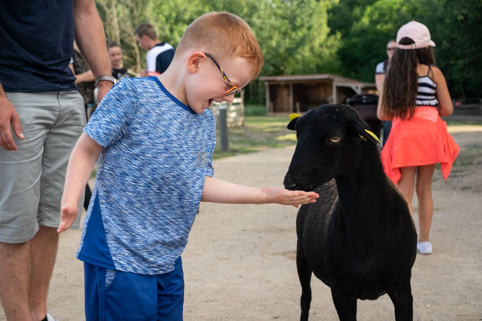 Le Parc du Petit Prince: Fast Track Ticket