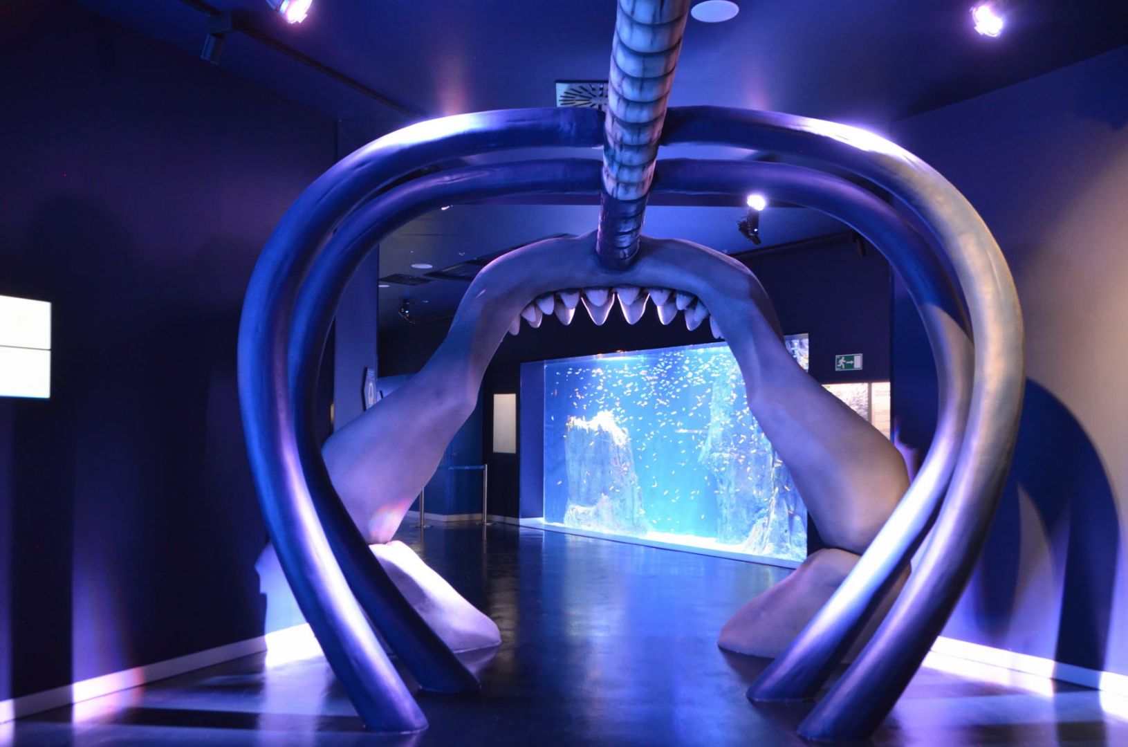 Atlantis Aquarium Madrid: Entry Ticket