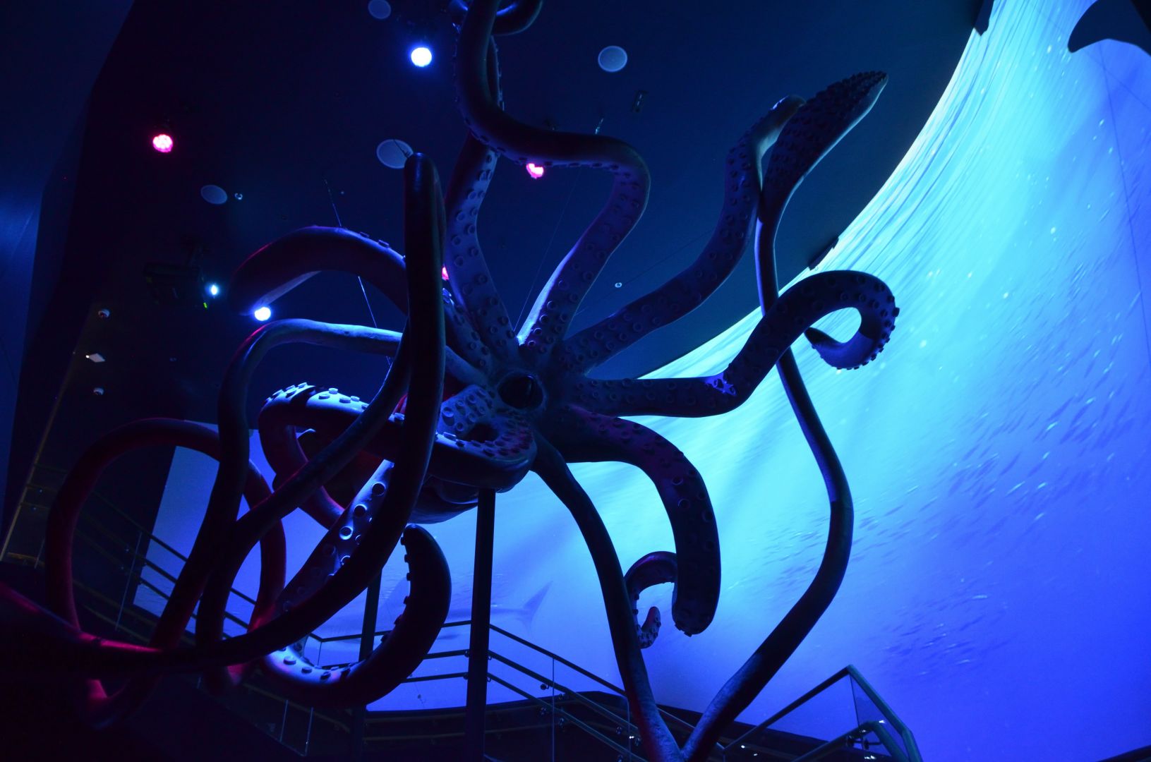 Atlantis Aquarium Madrid: Entry Ticket