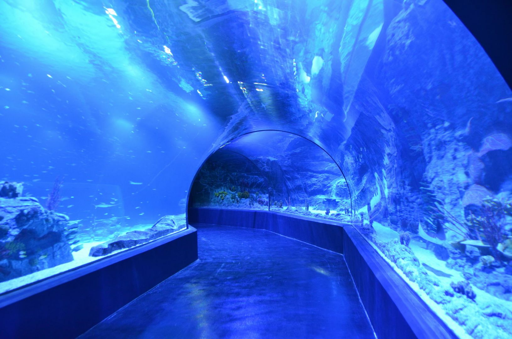 Atlantis Aquarium Madrid: Entry Ticket