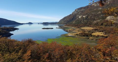 Tierra del Fuego National Park and End of the World Train: Tour from Ushuaia