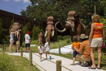 Dinosaur World Florida: Entry Ticket Single Day General Admission