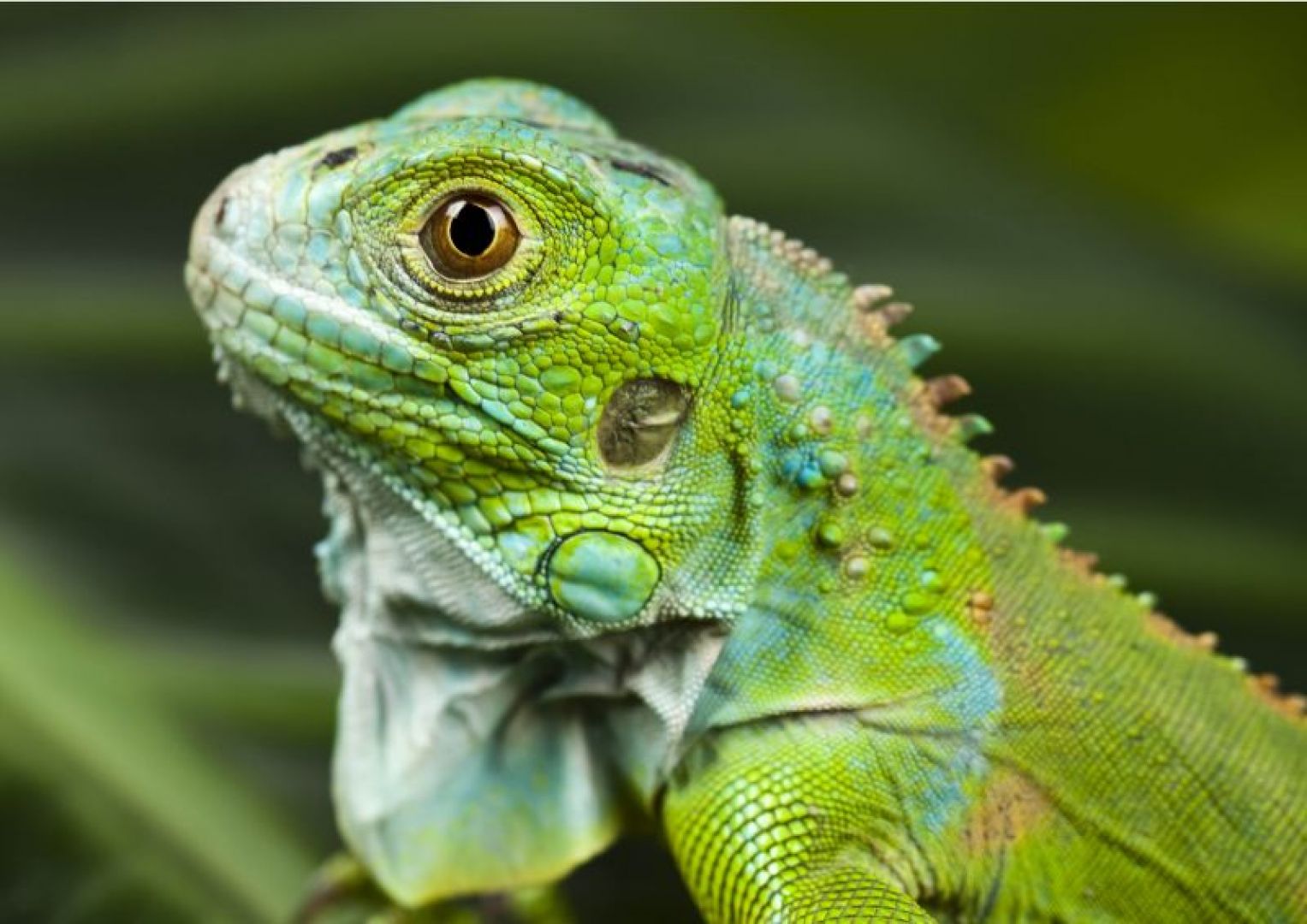 Aquarium of Cattolica: Entry Ticket + Lunch