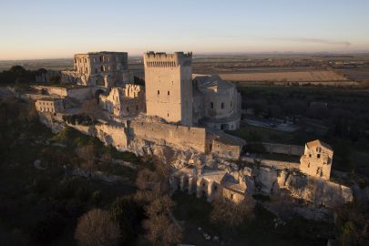 Montmajour Abbey: Entry Ticket