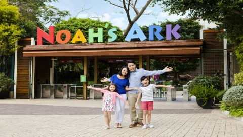 Noah's Ark: Entry Ticket