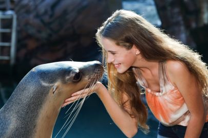 Seal Swim at SEA LIFE Sunshine Coast