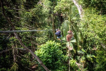 TreeTop Challenge at The Big Pineapple in Sunshine Coast