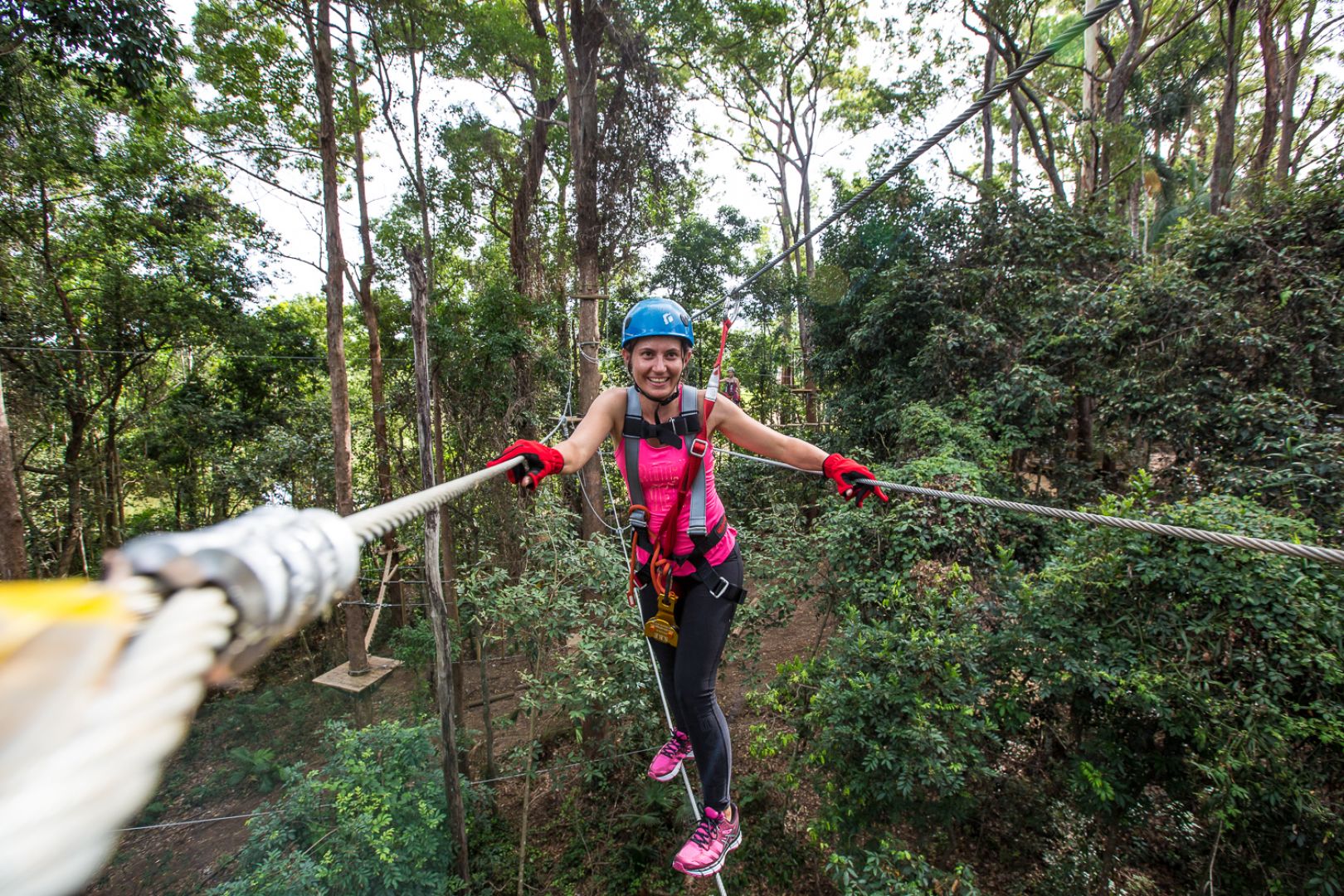 TreeTop Challenge at The Big Pineapple in Sunshine Coast