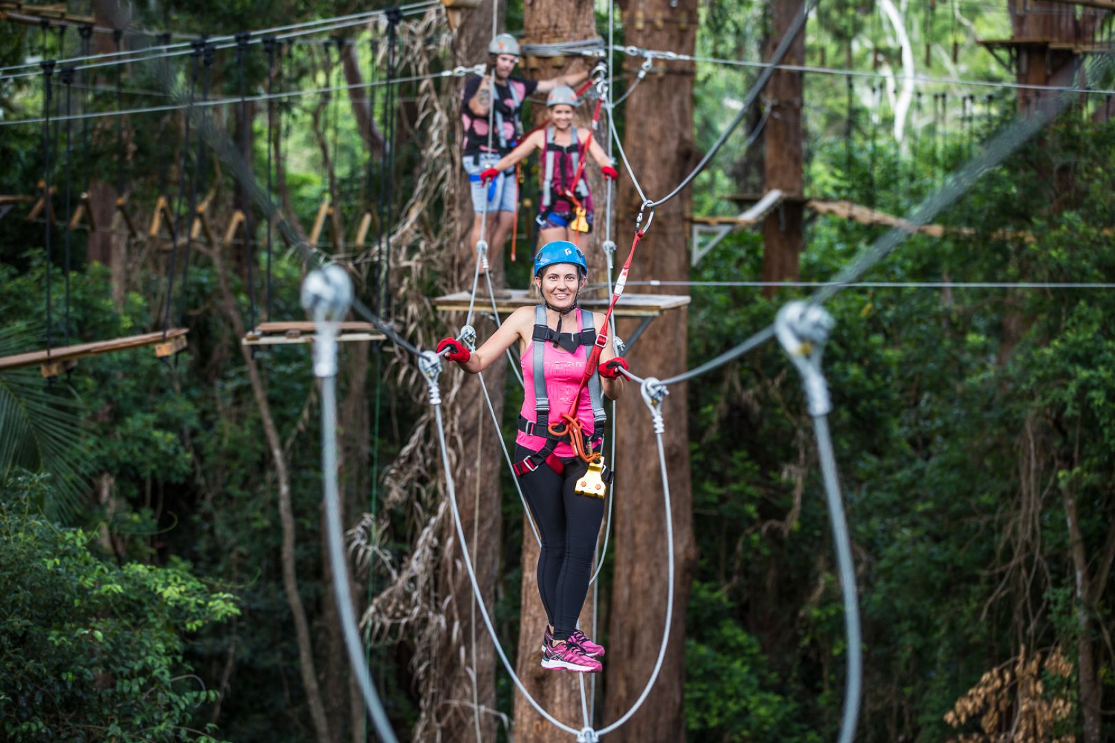 TreeTop Challenge at The Big Pineapple in Sunshine Coast