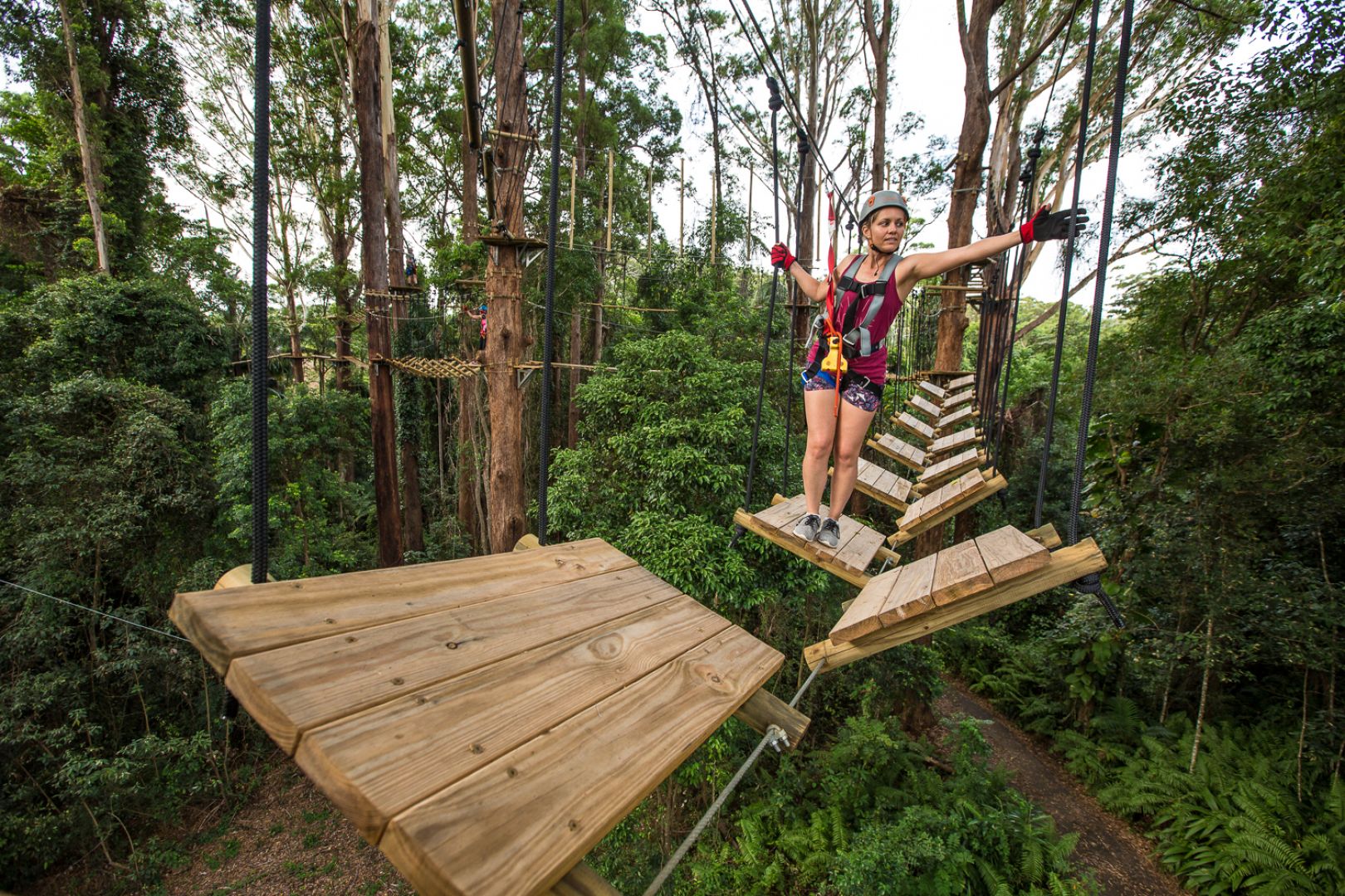 TreeTop Challenge at The Big Pineapple in Sunshine Coast