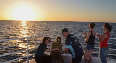 Hervey Bay Sunset Cruise