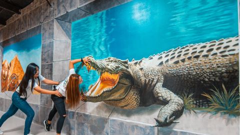3D World Trick Art Selfie Museum