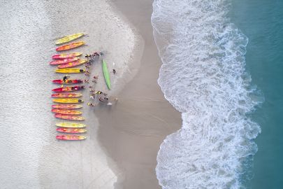 Kayak with the Dolphins: Half-Day Guided Tour