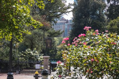 Boston History and Highlights Walking Tour