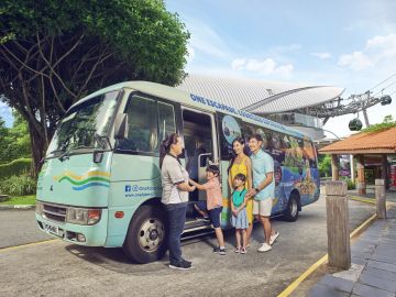 Sentosa Island: 2-Hour Bus Tour