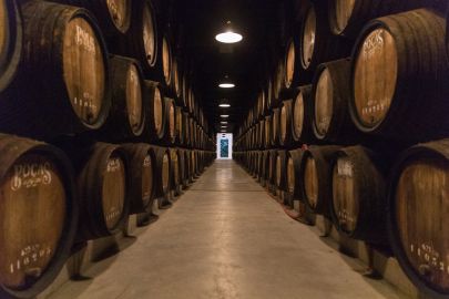 Poças: Guided Tour + Tasting of 2 Duoro Region Wines and 1 Port Wine