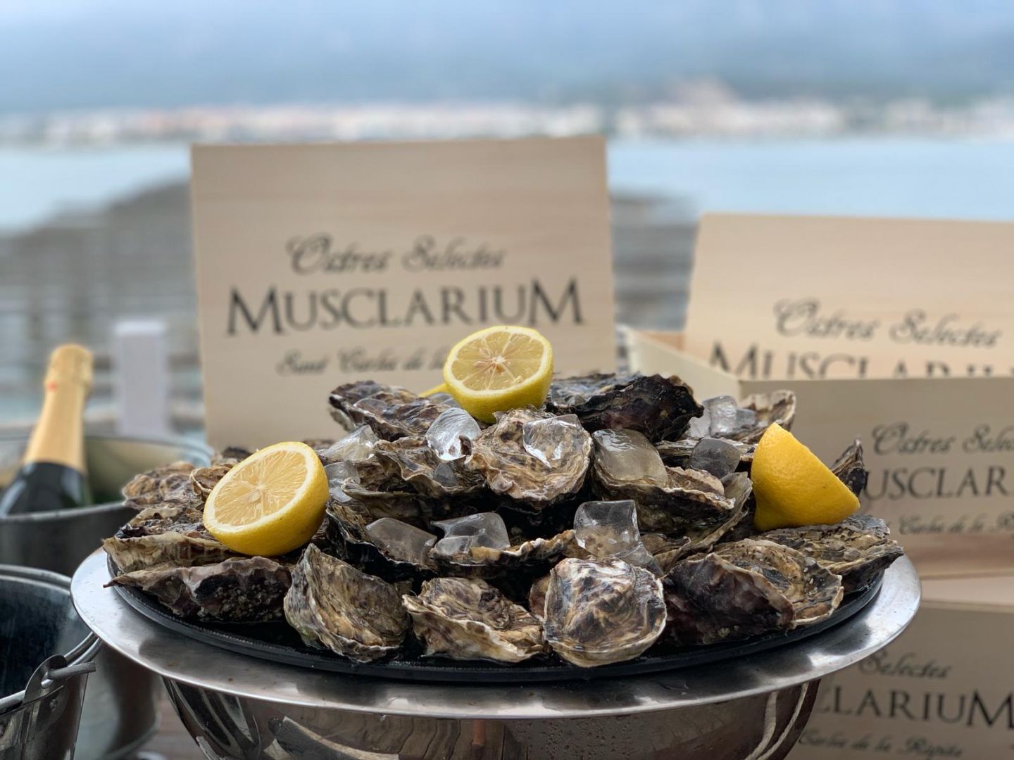Musclarium: Route of the Mussel Farms