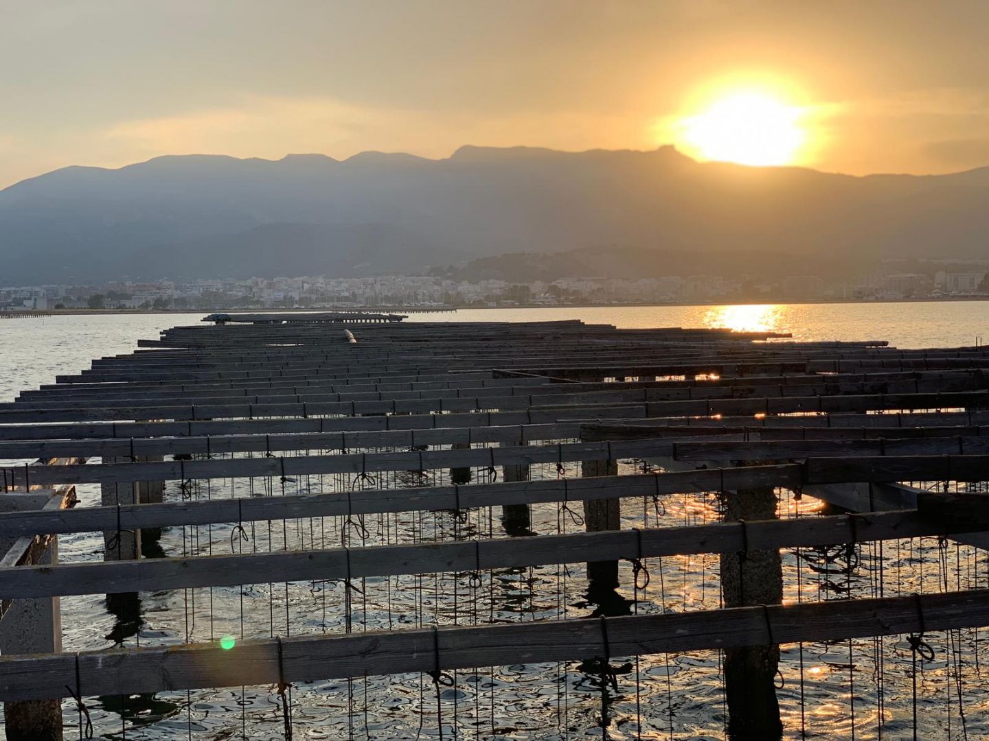 Musclarium: Route of the Mussel Farms