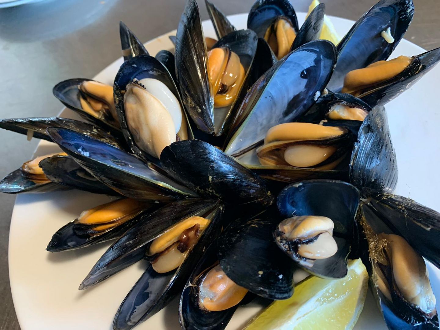 Musclarium: Route of the Mussel Farms