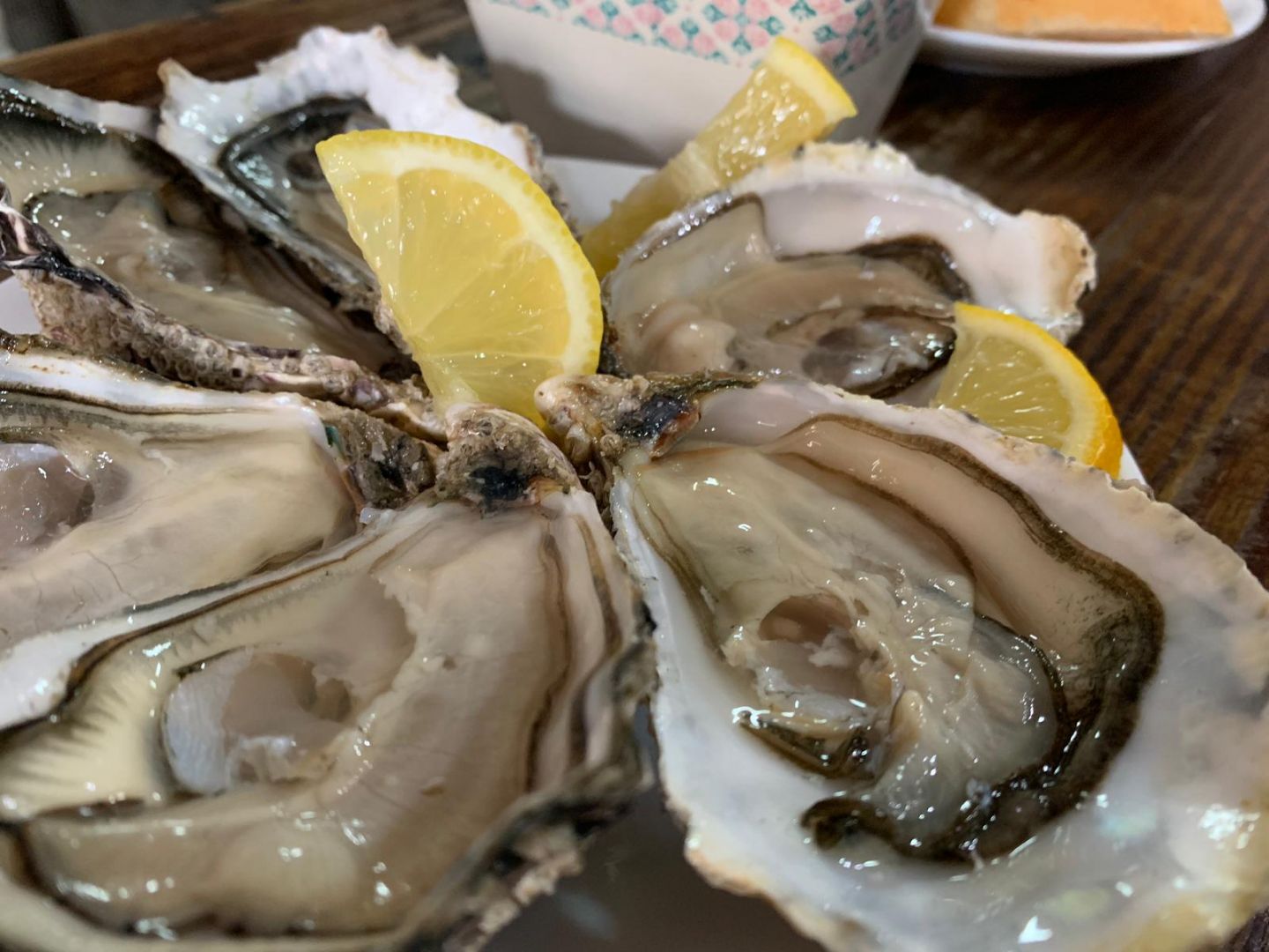 Musclarium: Route of the Mussel Farms