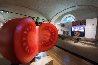 Food Museums: Tomato Museum