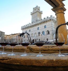 Montepulciano: Wine Tasting Tour in two historical cellars