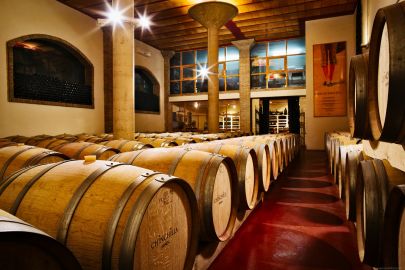 Bodega Doña Felisa: Guided Tour & Wine Tasting or Lunch