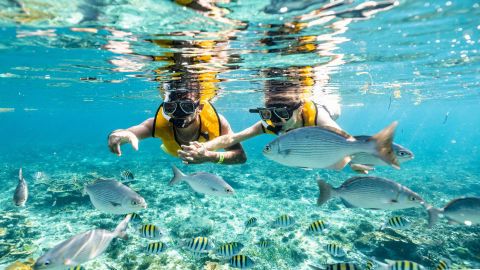 Cancún: 5-in-1 Snorkeling Tour