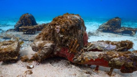 Cancún Underwater Art Museum and Manchones Coral Reef: Snorkeling Tour