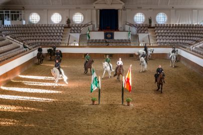 Royal Andalusian School of Equestrian Art: Full Visit