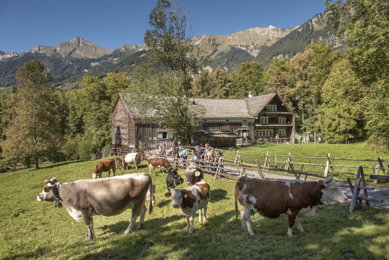 Open-Air Museum Ballenberg: Skip The Line Ticket