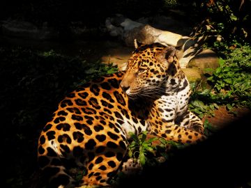 Parque de la Conservación Medellín: Skip The Line Ticket