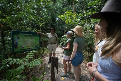 Daintree and Cape Tribulation Full-Day Tour