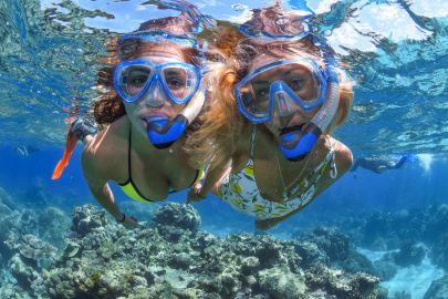 Outer Great Barrier Reef Full-Day Tour with Lunch