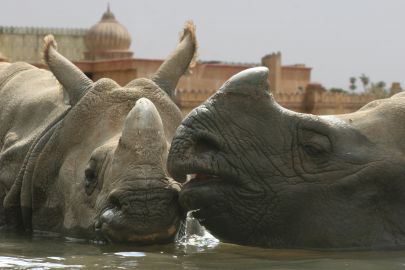 Terra Natura Benidorm: Skip The Line Ticket