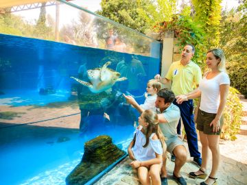 Palma Aquarium: Skip The Line Ticket