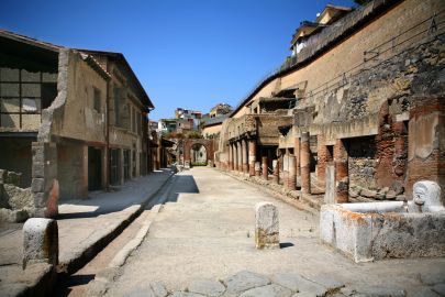 Herculaneum Archeological Park: Entry Ticket