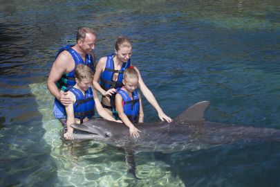 Xcaret Dolphin Tour Plus with Dolphin Swim