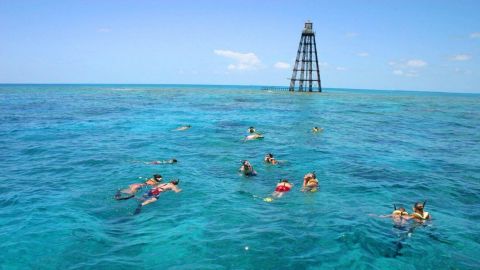Reef & Ritas Snorkeling Trip Key West