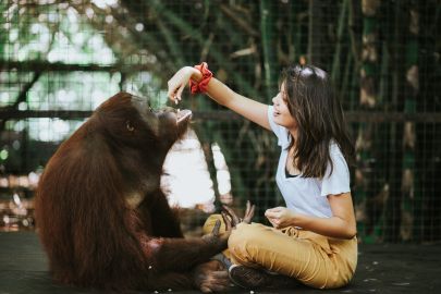 Lombok Wildlife Park: Intimate Wildlife Experience Intimate Wildlife Experience + Lunch